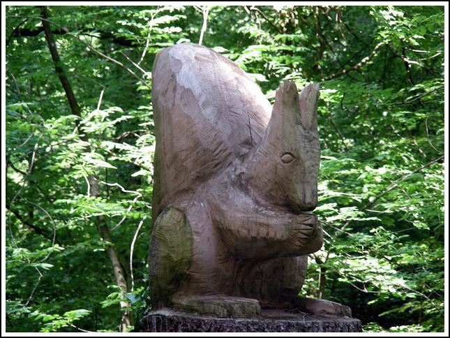Reussufer-Emmen_021
