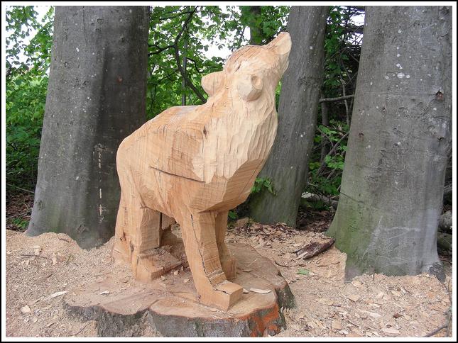 Reussufer-Emmen_028