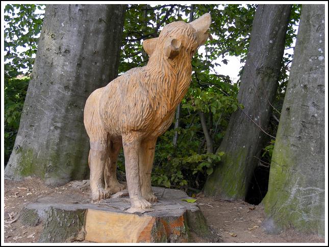 Reussufer-Emmen_030