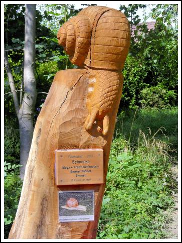 Reussufer-Emmen_042