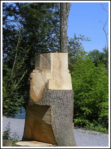 Reussufer-Emmen_061