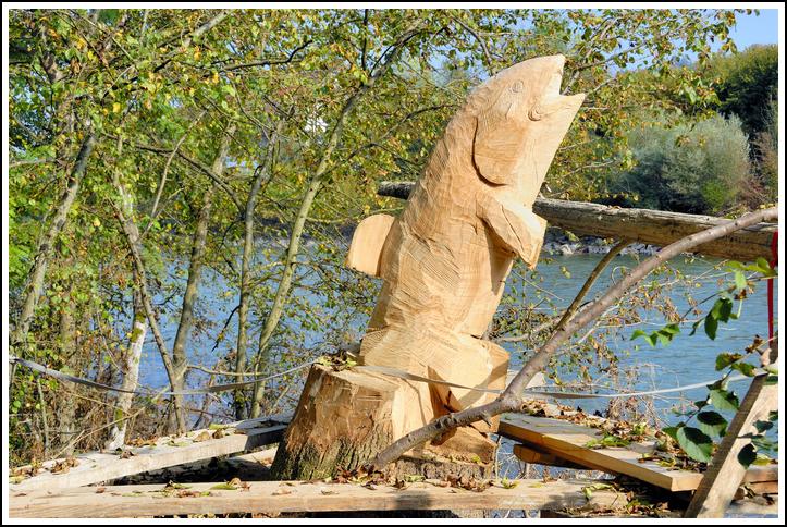 Reussufer-Emmen_079