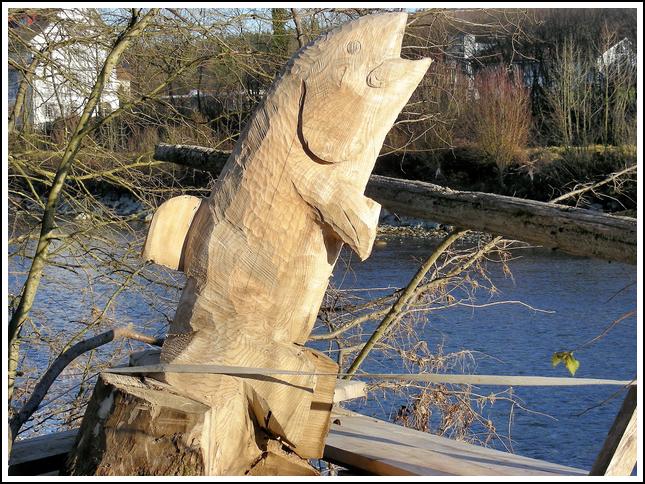 Reussufer-Emmen_080