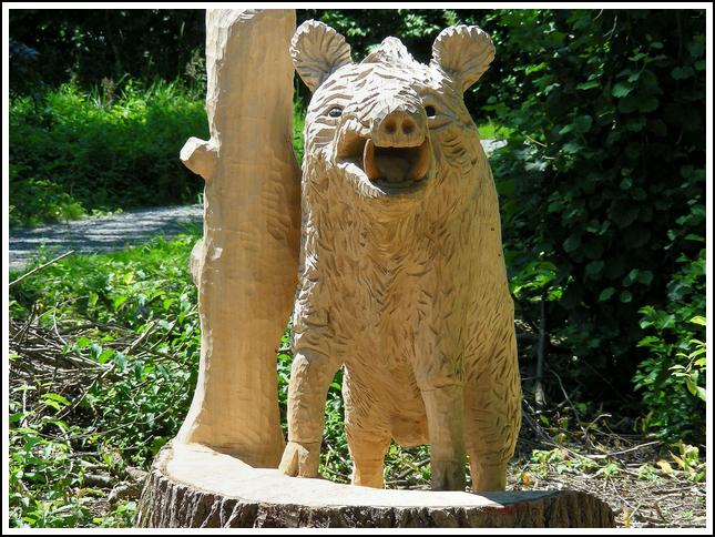 Reussufer-Emmen_087