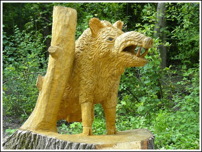 Reussufer-Emmen_088