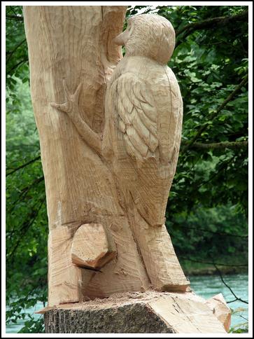 Reussufer-Emmen_102