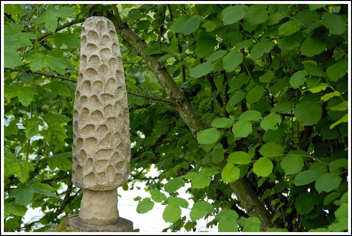Reussufer-Emmen_120