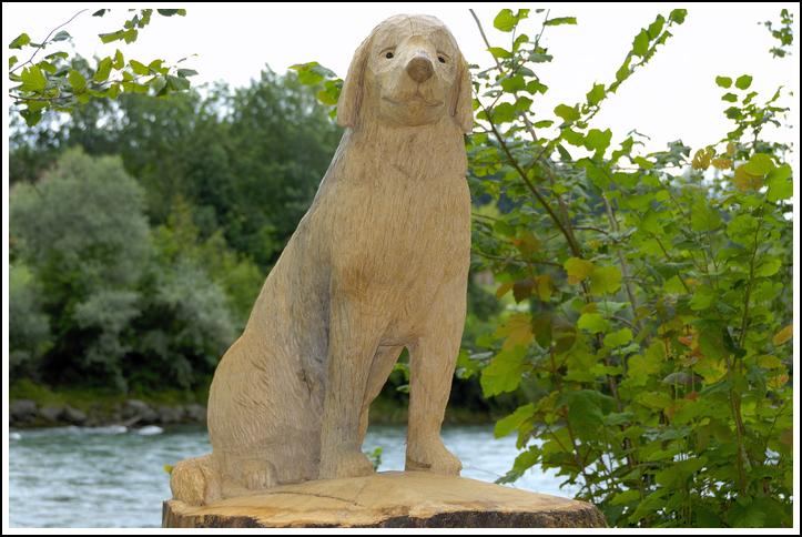 Reussufer-Emmen_126