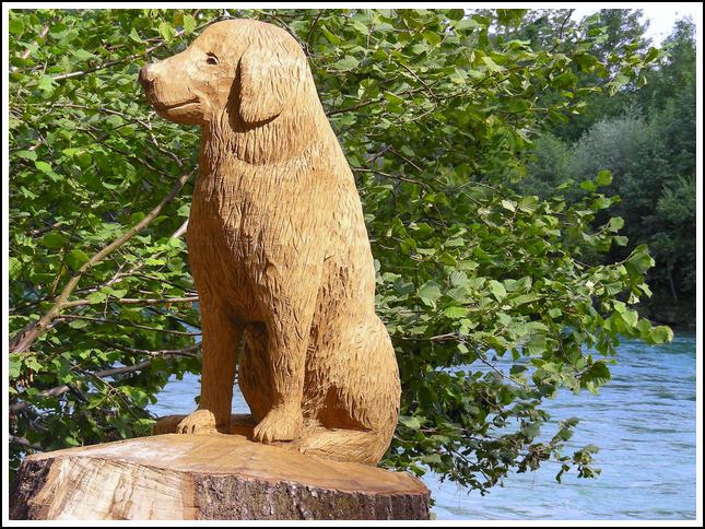 Reussufer-Emmen_128