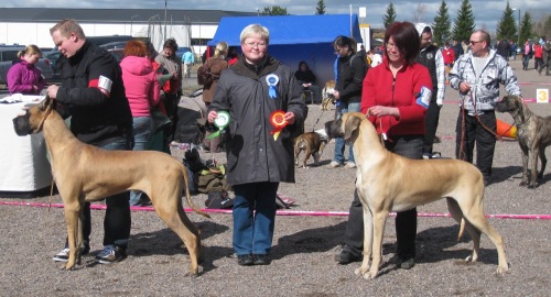 Somero show
                  winner kaapo